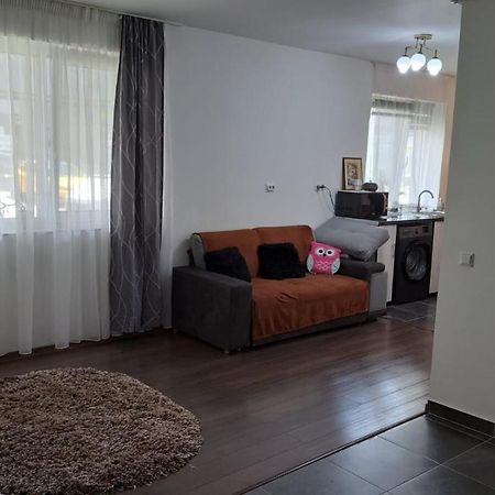 Cozy Nest Apartamento Sinnicoara Exterior foto